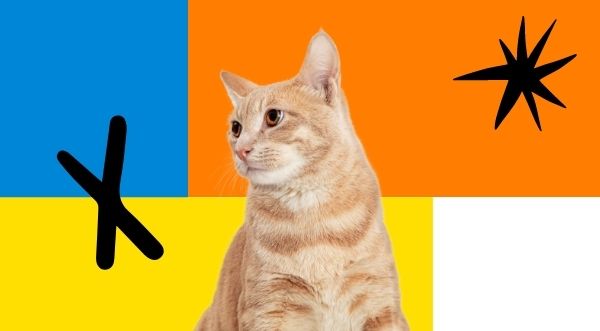 Clínica Veterinaria la barquera y comillas (2)