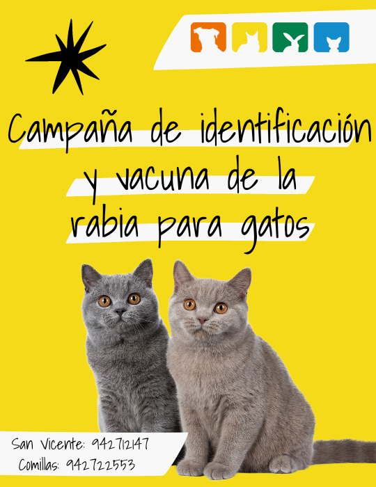_CAMPAÑA ESTERILIZACIÓN LA BARQUERA (1)