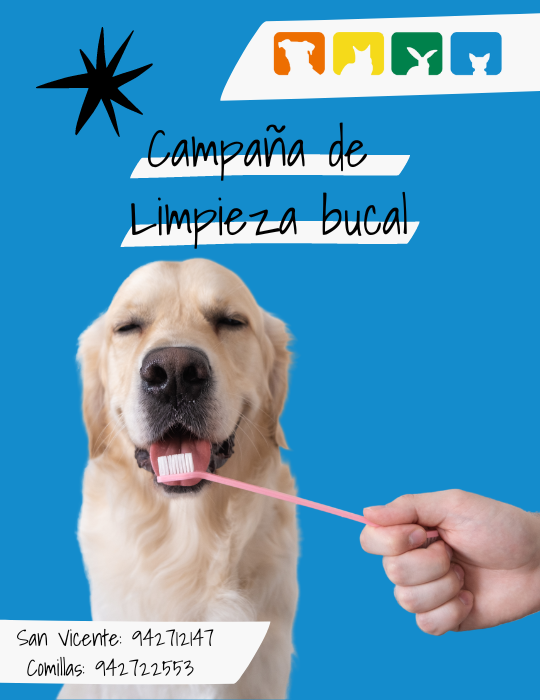 _CAMPAÑA ESTERILIZACIÓN LA BARQUERA (2)