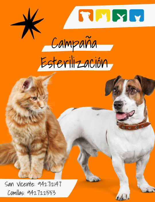 _CAMPAÑA ESTERILIZACIÓN LA BARQUERA