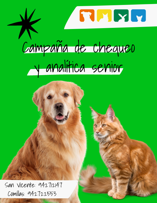 Campañas la barquera y comillas